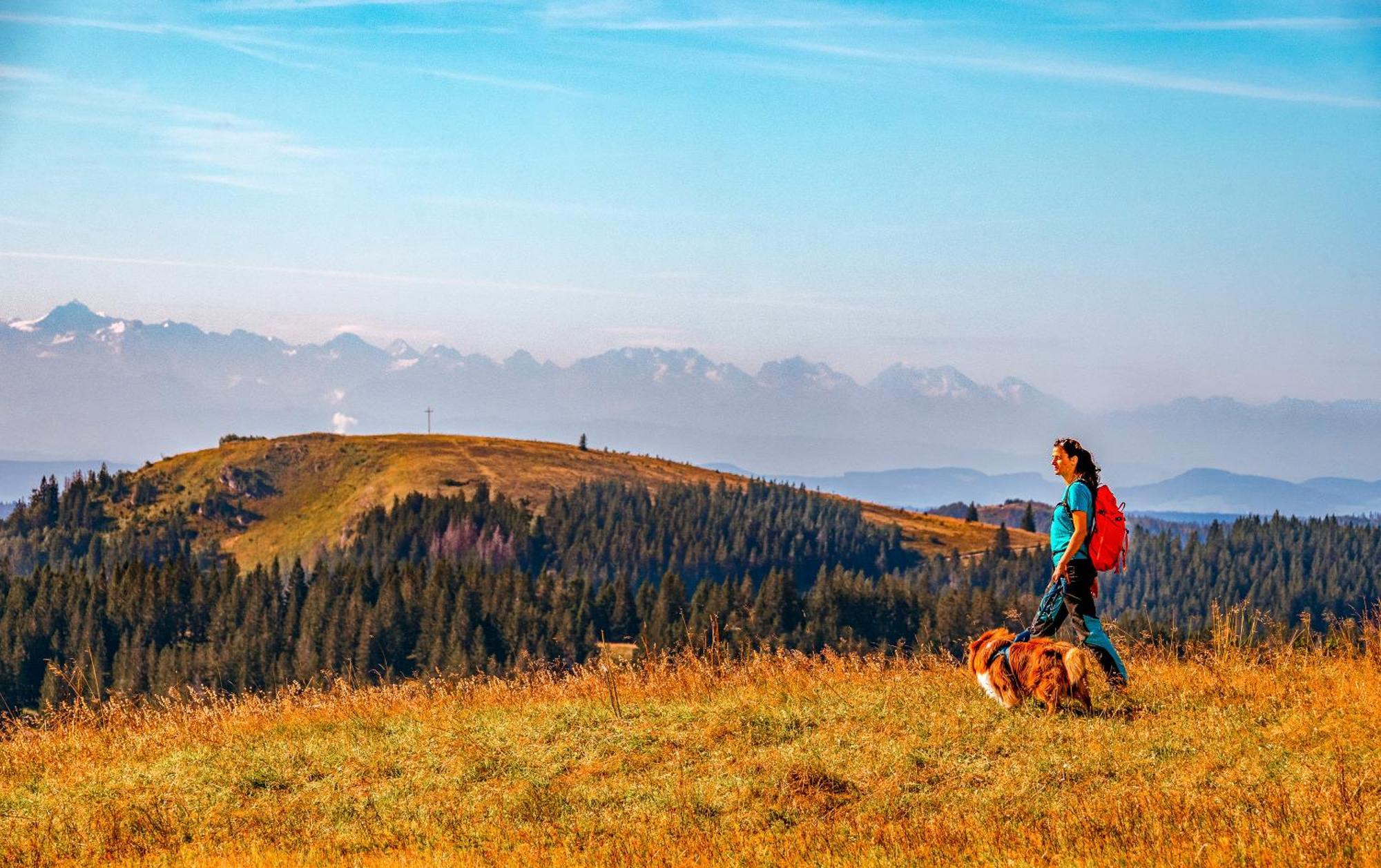 Ferienwohnungen Kehrwieder Todtnauberg Exteriér fotografie